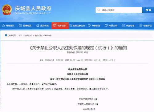 酒駕處罰2024最新標準詳解，步驟指南與更新概覽