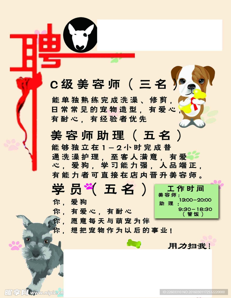 寵物店招聘最新動(dòng)態(tài)，共探自然之美，尋求內心寧靜