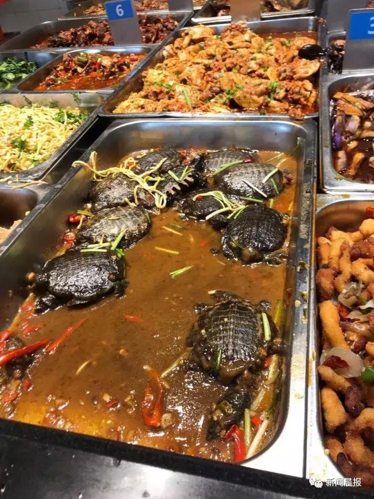 探索食堂美食新潮流，最新食堂菜一覽