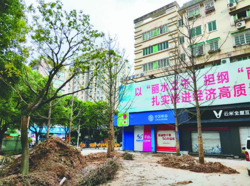 最新吊車(chē)網(wǎng)，自然美景之旅與內心平靜的探尋