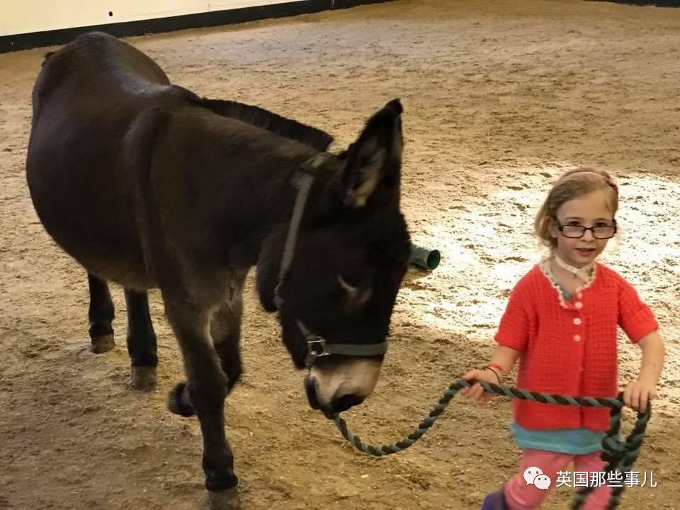 二驢子最新事件揭秘，事件全貌大揭秘！