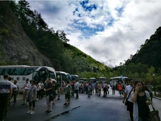 泰順高鐵最新動(dòng)態(tài)更新，最新消息一覽