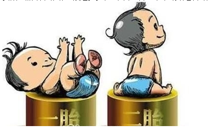 最新雙胞胎補助政策，攜手同行，助力孕育夢(mèng)想之路