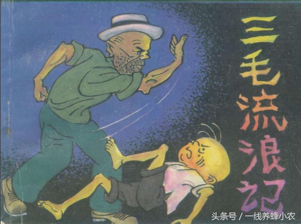 上海三毛最新動(dòng)態(tài)，自然美景探索之旅啟幕