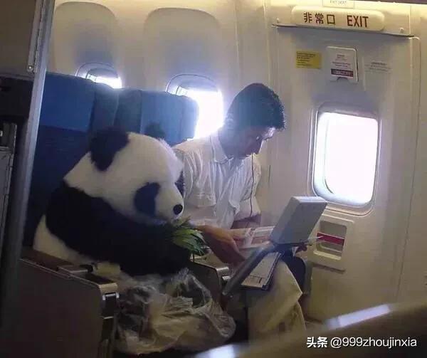 追逐變化之翼，學(xué)習鑄就自信與成就——虛幻最新探討