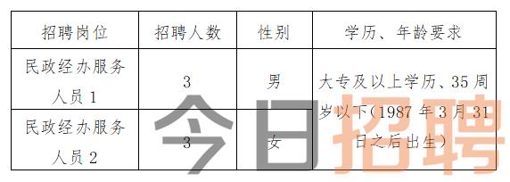 慶陽(yáng)最新招聘揭秘，小巷中的特色小店，探索未知寶藏的職場(chǎng)之旅
