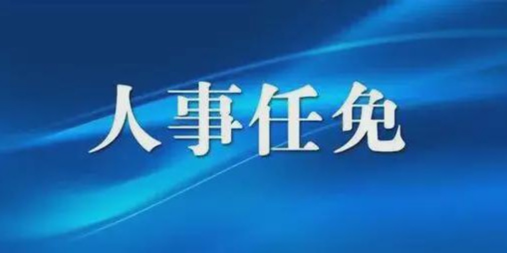 成都人事任免背后的故事，小巷獨特風(fēng)味小店與城市的脈動(dòng)