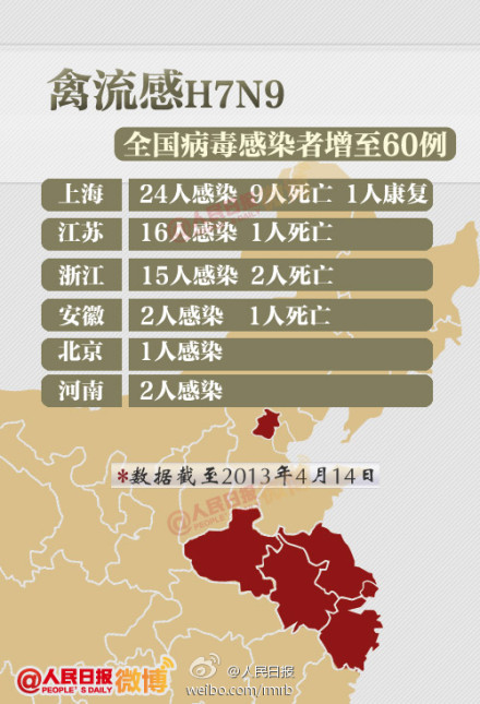 山東禽流感最新動(dòng)態(tài)，友情與陪伴的溫馨故事