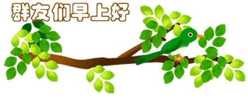最新清晨祝福短信，晨曦中的溫暖問(wèn)候，傳遞美好祝愿與關(guān)懷