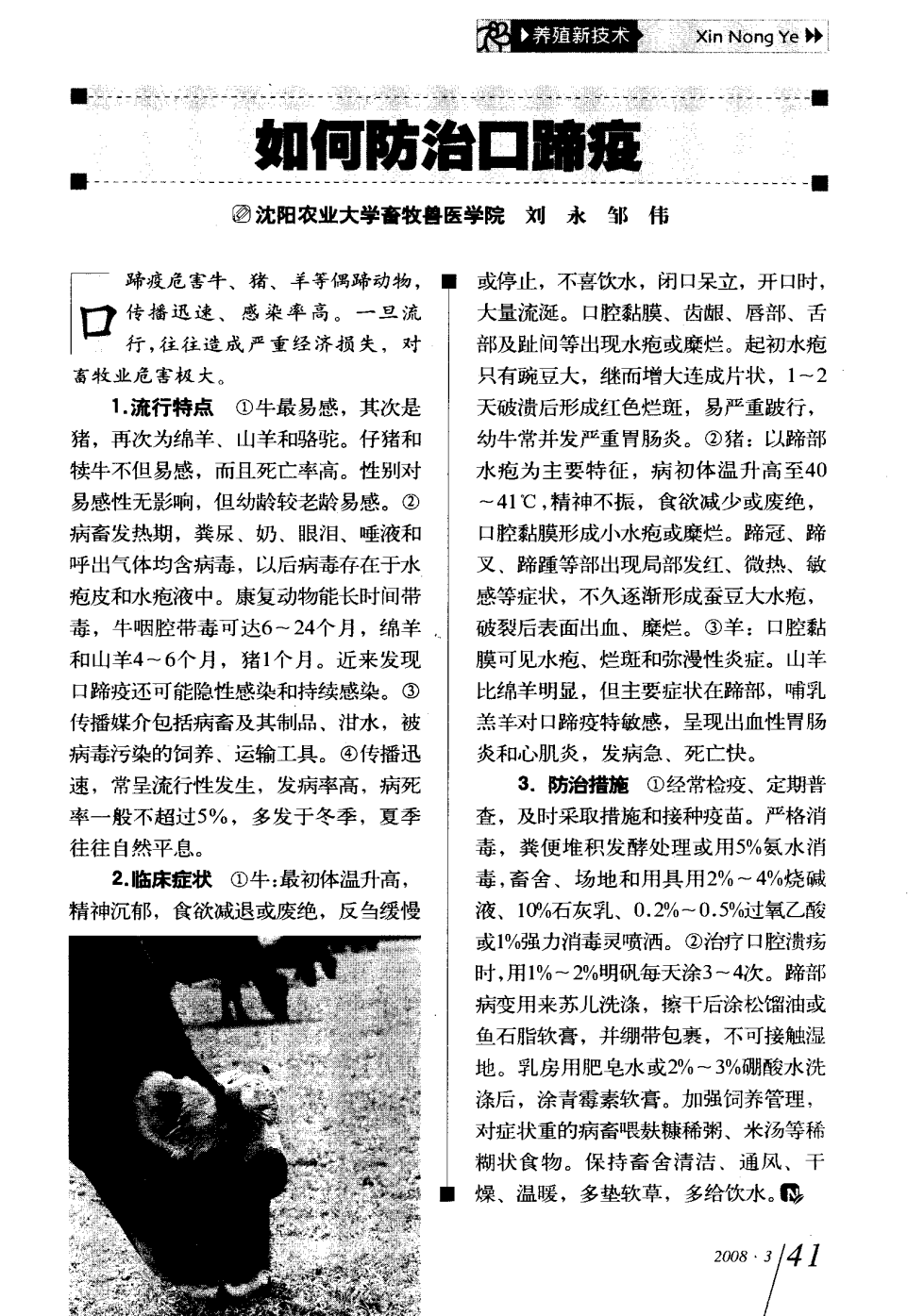 口蹄疫最新科研，自然探險與內心平和的追尋之旅