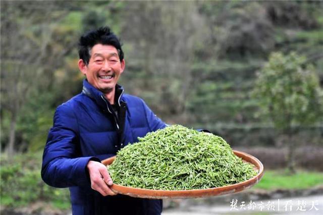 最新夷陵新聞，探索自然美景的旅程，尋覓內心平和之地