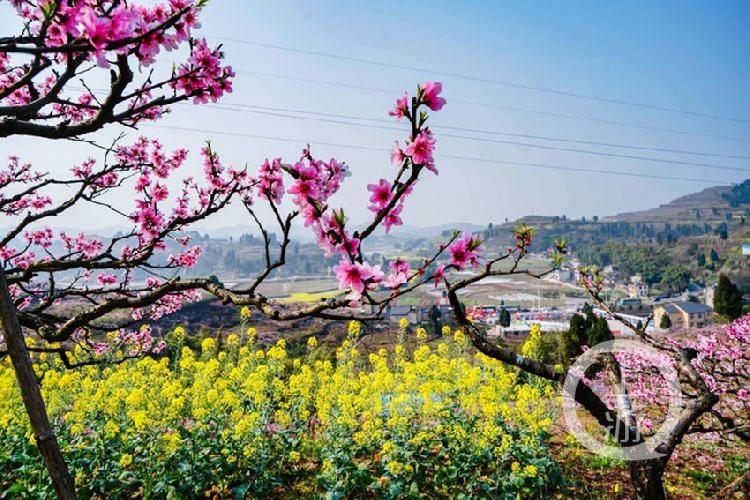 合川最新科技新聞，高科技產(chǎn)品引領(lǐng)未來(lái)生活潮流