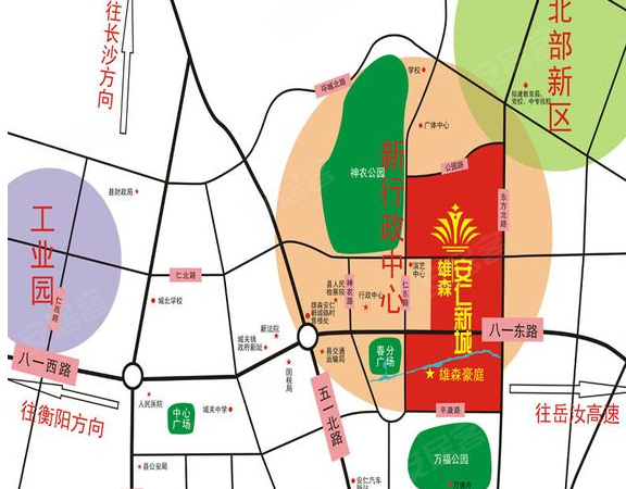 安仁雄森最新動(dòng)態(tài)揭秘，小巷中的隱藏寶藏！
