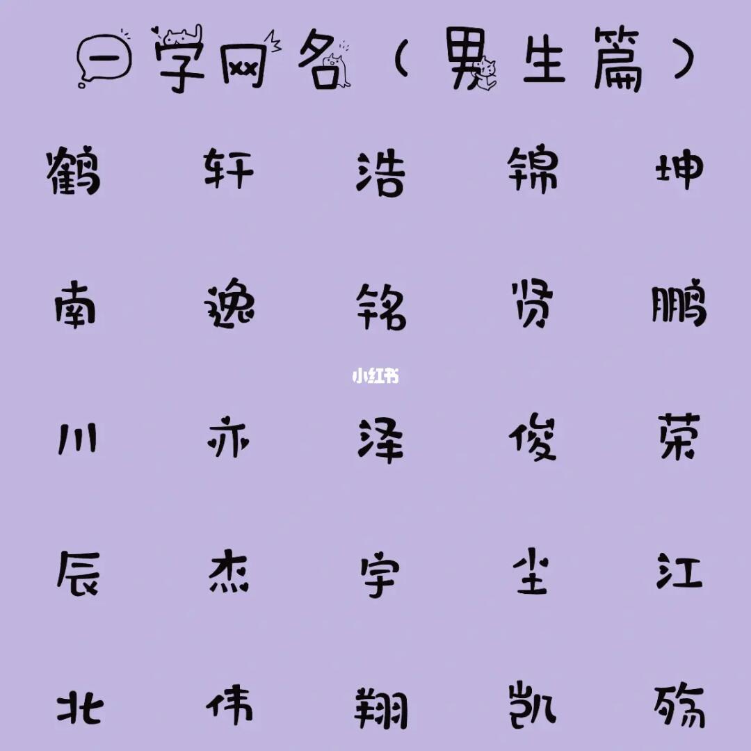 最新男生網(wǎng)名，時(shí)代潮流與虛擬身份的完美融合塑造