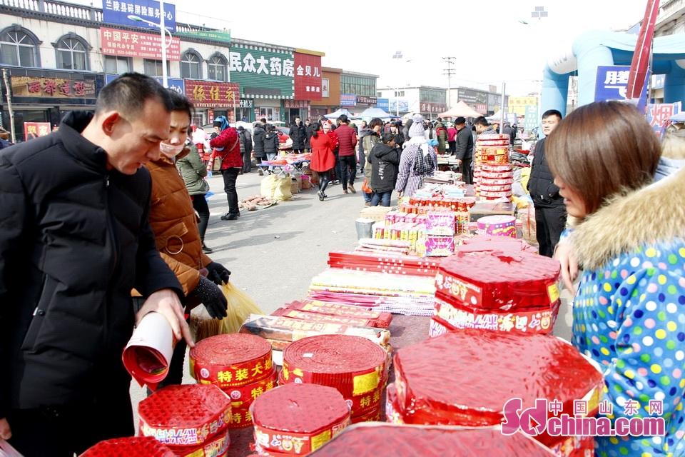 淘元素最新，淘淘的奇妙冒險之旅與友情的溫暖體驗