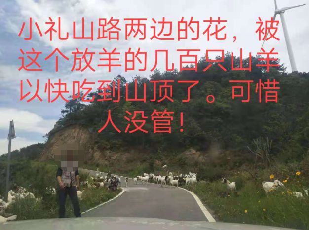 大悟最新路，探索未知，自信成就夢(mèng)想之旅的啟程
