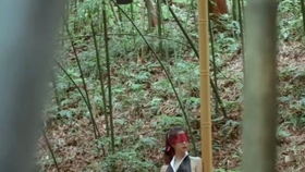 原野小年最新風(fēng)情，小巷深處的獨特魅力