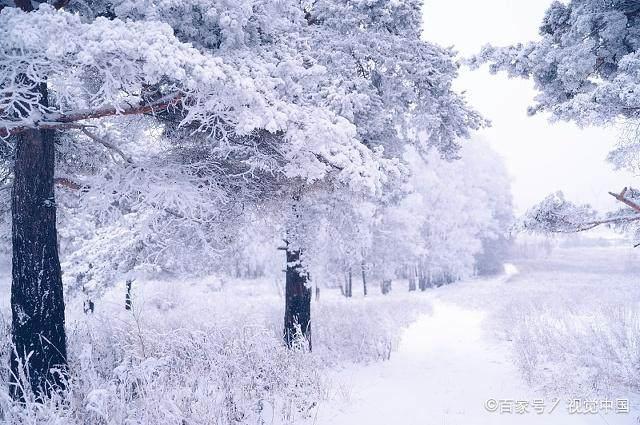 冬日暖陽(yáng)下的溫馨日常，最新冬美文精選