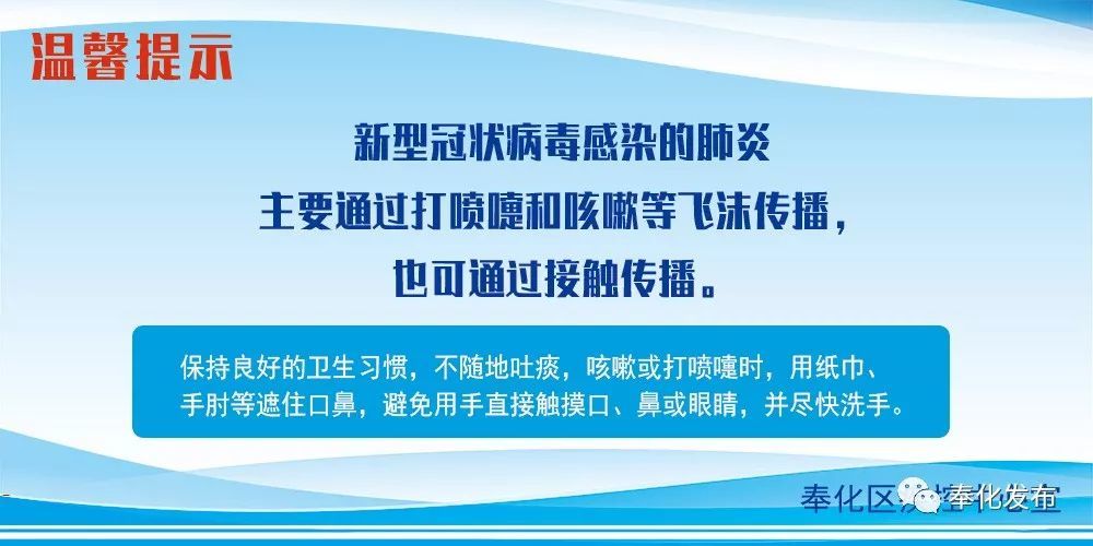 余姚最新確診背后的自然探索之旅，重拾心靈寧靜與平和