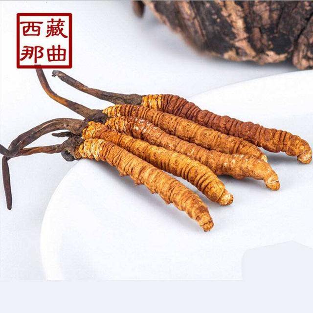 揭秘2025年蟲(chóng)草最新價(jià)格，探尋小巷中的秘密行情！