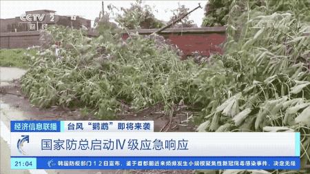 超強臺風(fēng)鸚鵡來(lái)襲，最新路徑動(dòng)態(tài)全解析???
