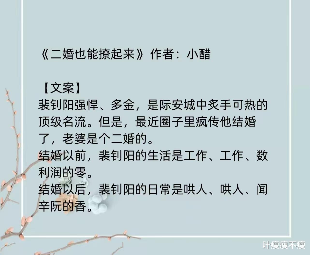 最新二婚小說(shuō)，小巷深處的浪漫故事